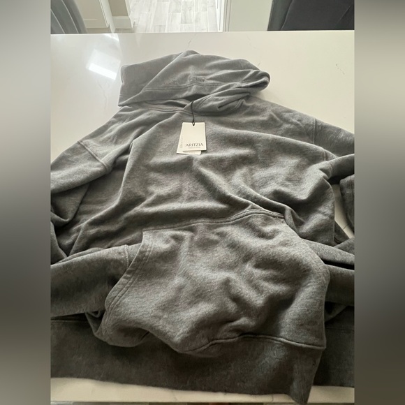 Aritzia Charcoal Gray Hoodie - Picture 5 of 9